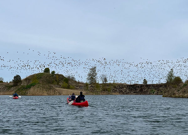 maardu fossforiidikaevandus